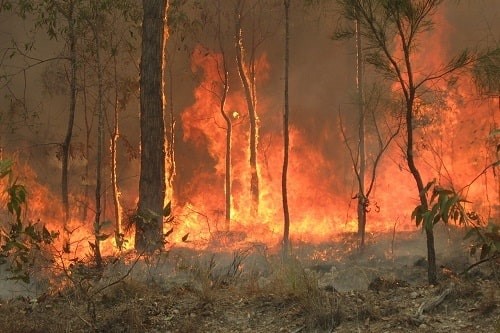 Bush fires in Australia have hit home the climate's power