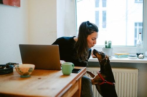 Working From Home iStock lechatnoir