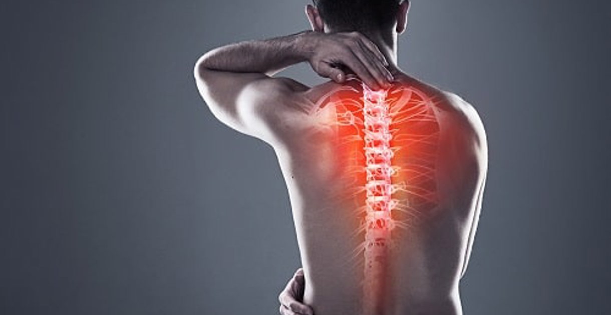 Gorst Back Backs for the future | British Safety Council