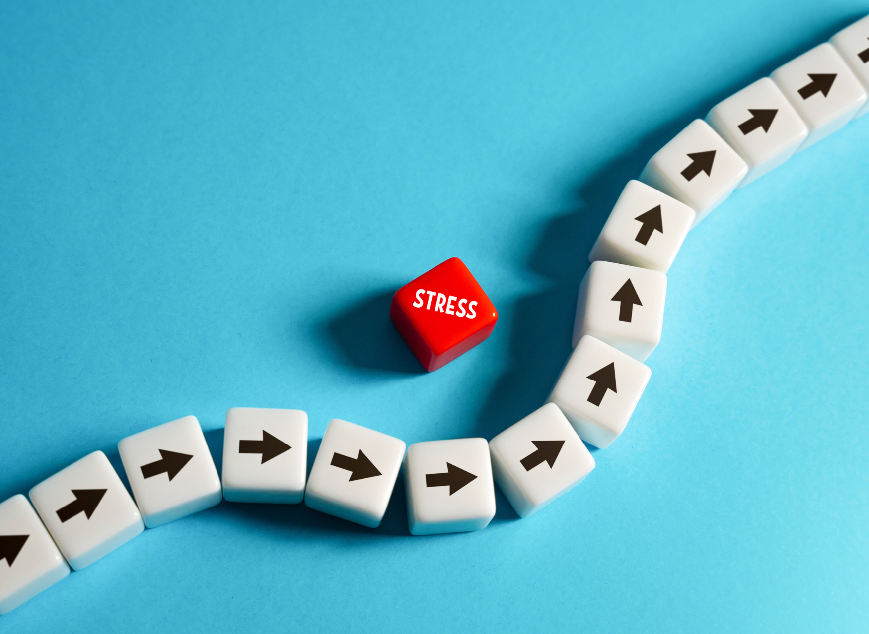 Stress Risk Management Workshop