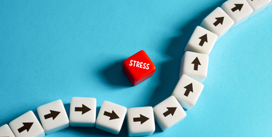 Stress Risk Management Workshop