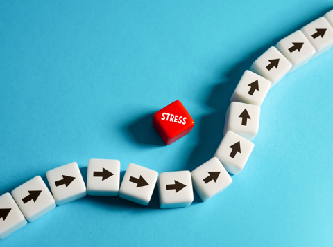 Stress Risk Management Workshop