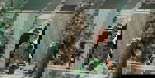 Worker in modern office with lots of greenery around