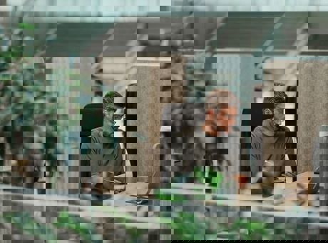 Worker in modern office with lots of greenery around