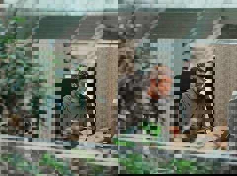 Worker in modern office with lots of greenery around