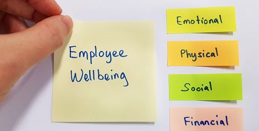 Post it notes with the words: employee wellbeing, emotional, physical, social and financial written on them in blue ink