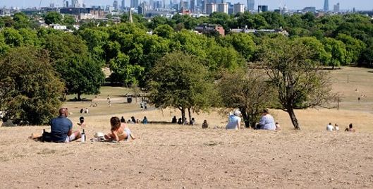People sitting on sun-scorched grass during a heatwave, with the London skyline in the distance.