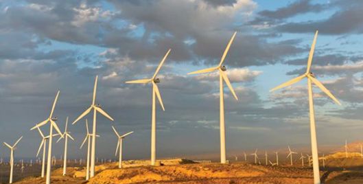 Wind turbines in a field
